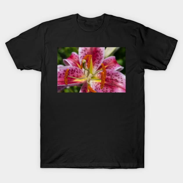 Lily T-Shirt by wildmagnolia